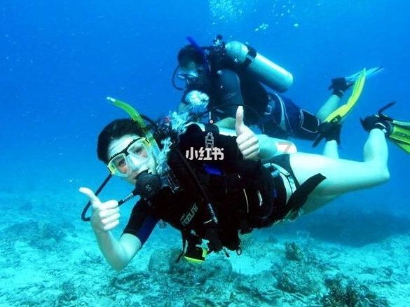 扎根农业的“农大丁同学”,用摄影救赎他人的博主“良田”......他们收到春晚邀请函了!
